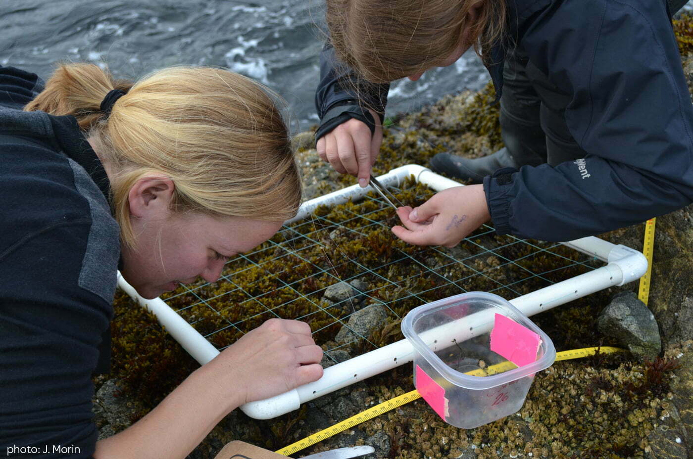 Marine Population Ecology & Dynamics Bamfield Marine Sciences Centre